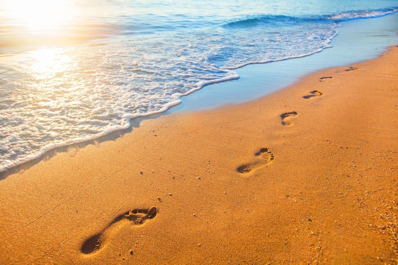 Beach Villa Home - Walk To Beaches Trails Restaurants Activities & More Half Moon Bay Ngoại thất bức ảnh